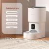 Alimentador Automático para Pets Pamper Inteligente Wifi Bluetooth Gato Inteligente Dispensador Automático de Água Suprimentos para Pets Dropshipping