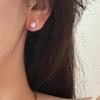 Nuevos Exquisitos Aretes de Piedra Lunar en Forma de Huevo Moda Combinable Lujo Ligero Sensación de Alta Gama Accesorios de Aretes de Tornillo para Mujer