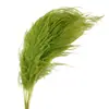 Atacado de Grama Eterna do Fabricante para Casamento e Decoração de Casa DIY Materiais Florais, Grama de Cabelo Longo para Flores de Arte Penduradas
