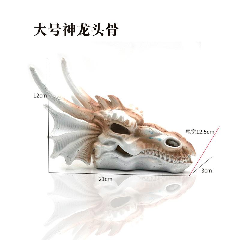 大号神龙头骨