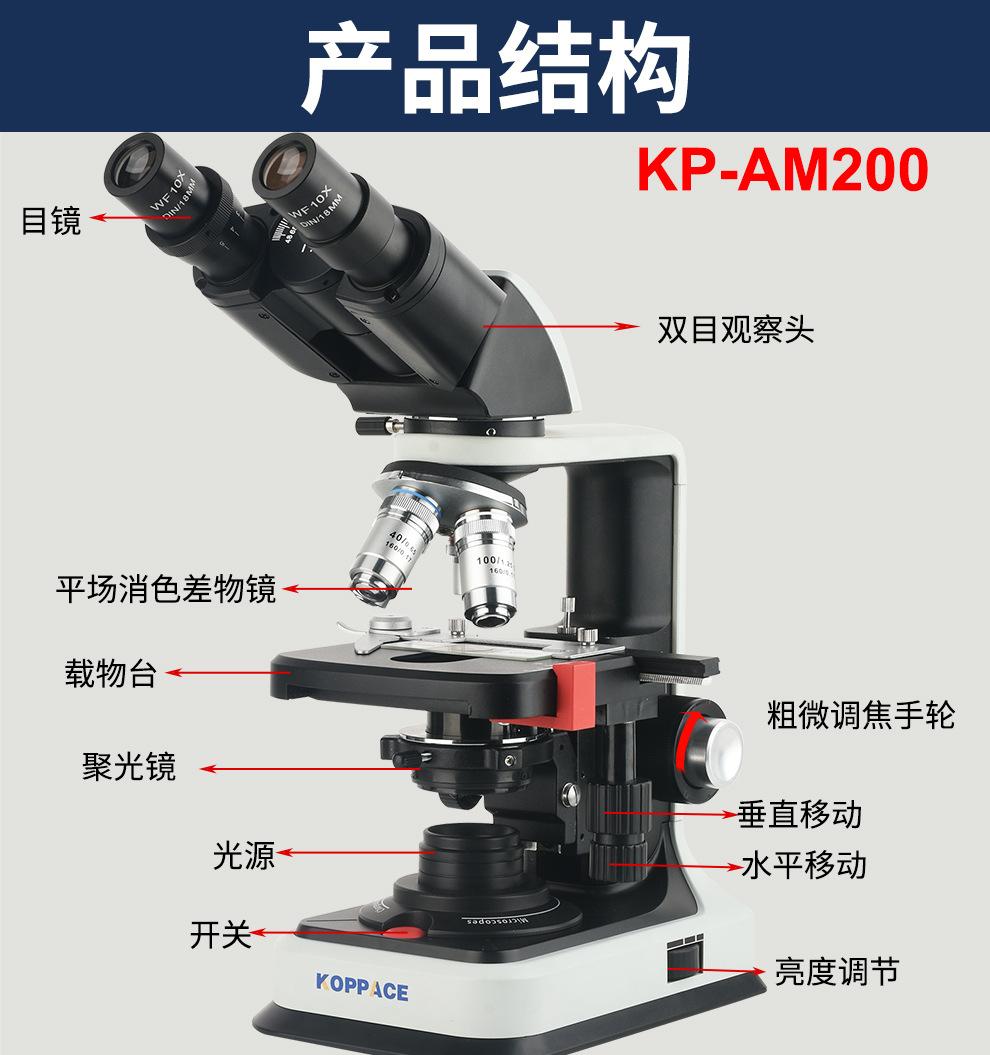 详情09.jpg