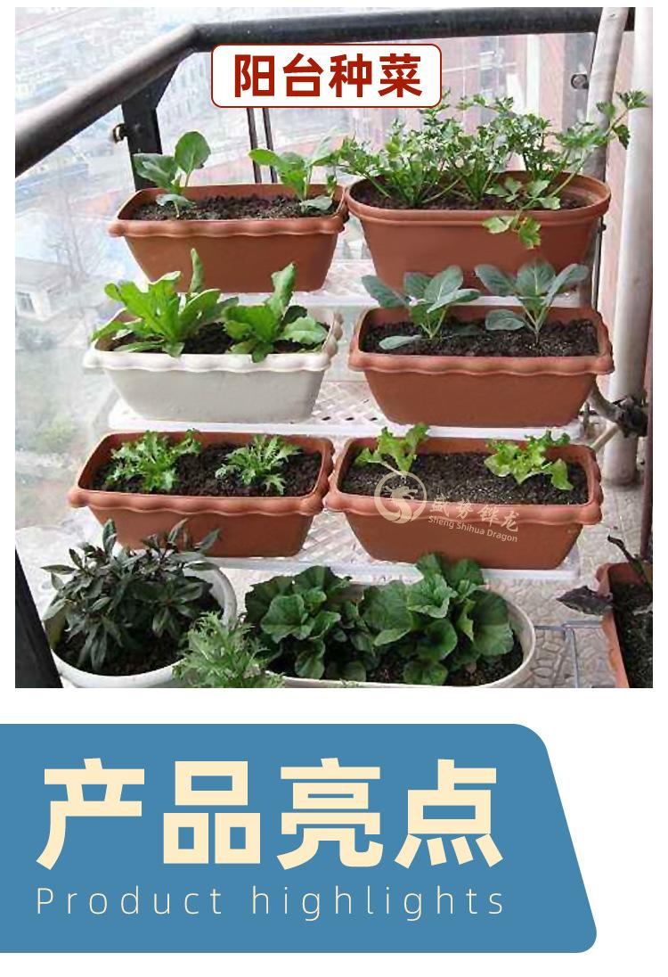 1_07.jpg