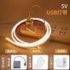 Tira de Luz LED Recargable al por Mayor 5V Bajo Voltaje Batería USB Neón Flexible Autoadhesiva Silicona Tira de Luz Suave