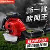 Yingqi Ebz8500 Secador de Pelo a Gasolina de Mochila de Alta Potencia Manguera Telescópica para Incendios Forestales Extintor de Viento y Fuego