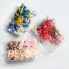 Paquete de Materiales DIY de Flores Eternas Mixtas Flores Secas Flor Real Natural Secada al Aire Vela Abanico Marco de Fotos Caja de Flores Secas