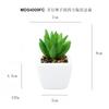 En existencia Simulación de dedos carnosos de bergamota Planta en maceta Decoración de escritorio Regalo Mini planta verde Bonsai TEMU Planta de simulación