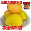 Mamão Azedo Fresco de Dali, Yunnan, Frete Grátis, Fruta Azeda Fresca de Lincang, Adequado para Grávidas, Mamão Verde Selvagem para Infusão em Vinho, Azedo e Crocante