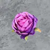 Cabeça de Rosa Simulada Arranjo de Casamento Decoração de Casa Corsage DIY Adorno de Cabeça Parede de Flores Artesanal Flores Artificiais Enfeites Atacado