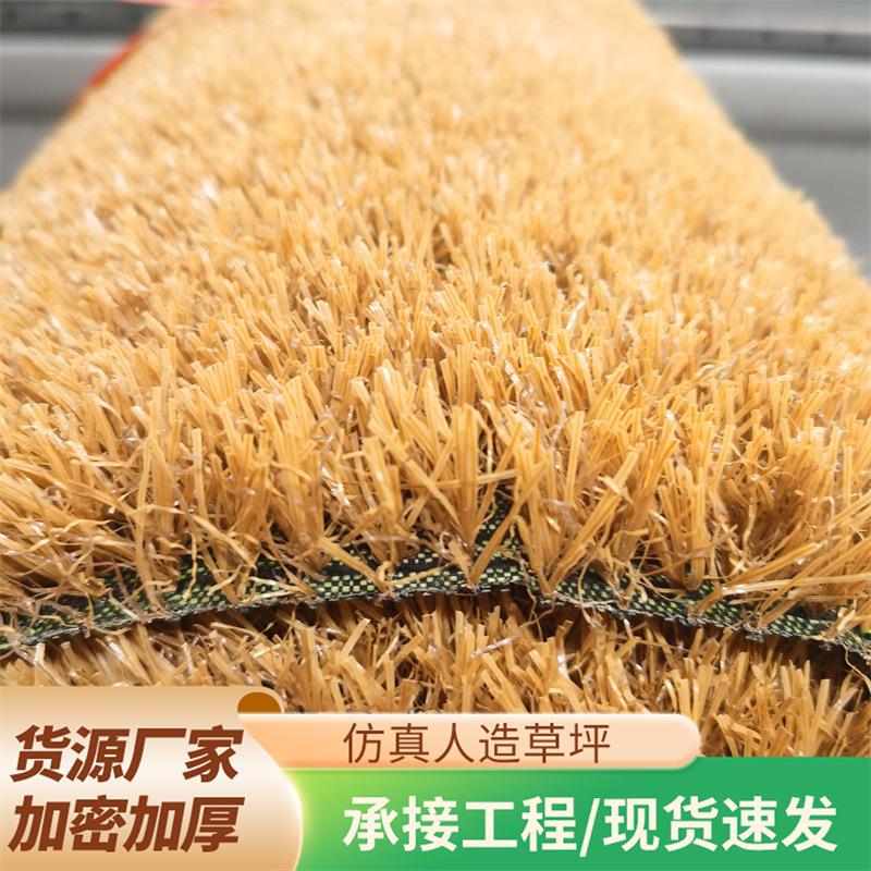 d4a1f671-68f4-4051-875a-df3bd1