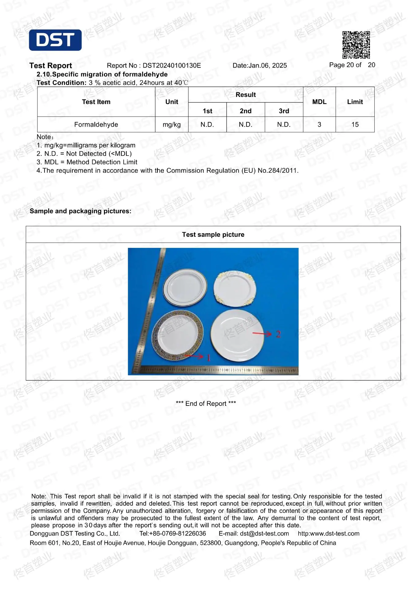 盘子 FCM  DST20250100130E(1)_19