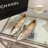 Sapatos femininos de bico fino com salto grosso estilo francês, novo estilo fada outono 2026, adequados para combinar com saias, com tira de strass, sapatos Mary Jane