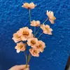 Flor de Campanilla de Plata Hecha a Mano Flor Seca Adornos Estilo Ins Decoración Artística Pequeña Fresca Flor de Ciruelo Pequeña Campana de Viento Flor de Ciruelo Decoración del Hogar