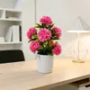 Venda Direta de Fábrica de Bonsai de Flor de Crisântemo de 7 Bolas Artificiais, Planta em Vaso de Flor Artificial Criativa, Decoração Pequena de Flor Artificial para Sala de Estar e Mesa de Jantar