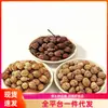 Conjunto de Três Peças para Carne Cozida Cardamomo Galanga Amomum Villosum Temperos para Cozimento Lento na Cozinha Temperos para a Família Temperos Sabor Braise