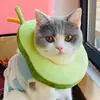 Anel Elizabeth coleira de gato coleira de gato abacate rosquinha pet de gato adereço de cabeça para animal de estimação anel de vergonha anti-lambedura