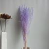 Suministro de fábrica de ramo de flores secas de hierba blanca, accesorios para arreglos florales, decoración para bodas, accesorios de tiro, flores secas