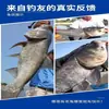 Nuevo Modelo Black Carp Tercera Generación Terminator 450g 40 Paquetes Un Pedazo de Cebo Black Carp para Pesca Salvaje en Lagos y Embalses Cabeza Grande