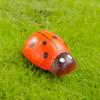 Musgo de Micro Paisaje Pequeños Adornos Color Madera Escarabajo Coccinella Artesanía DIY Hecho a Mano Decoración Carnosa