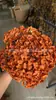 [Niebla Natural Hortensia] Flor Eterna Flor Seca Hortensia Anna Hortensia Lobular Material para Boda DIY Venta al por Mayor