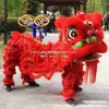 Juego Completo de Accesorios para Danza del León de Adulto, Suministros para Danza del León de Foshan, Cabeza de León del Sur para Danza del León, Juego Completo de Accesorios para Danza del León de Doble Cabeza