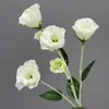 Lisianthus Artificial Pequeño Transfronterizo Tallo Único 63 cm Lisianthus Artificial Disponible en Múltiples Colores Accesorios para Fotografía de Bodas Fábrica de Flores de Seda