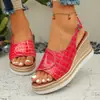 Sandalias para Mujer de Plataforma Impermeable con Hebilla Boca de Pez Transfronterizas Europeas y Americanas 2026 Tallas Grandes Sandalias Sandalias Venta al por Mayor Transfronteriza Europea y Americana Tallas Grandes