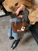 Bolsa Pequena de Lã de Cordeiro Coreana de Nicho, Bolsa Saco Transversal Elegante e Estilosa, Bolsa de Mão e Bolsa de Ombro de Pelúcia Simples e Fofa