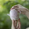 Tetera de Cerámica Pintada a Mano Estilo Dinastías Tang y Song con Filtro en Forma de Bola, Color Bajo Esmalte y Delicados Patrones Rosas para Uso Doméstico