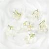 Simulação três pequenos acessórios de decoração de orquídea diy decoração de casa flor falsa pequeno vento fresco hairpin flor acessórios