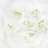 Flores Artificiales Margaritas Pequeñas de 3 Pétalos Materiales DIY Ramo de Hortensias Hecho a Mano Flores Falsas Decoración de Escena Realista de Alta Gama
