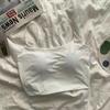 Camisola de seda de hielo para mujer, ropa interior de verano con tubo interior, hermosa tira, almohadilla para el pecho, sujetador exterior de una pieza, base superior