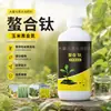 Aumentar produção aumentar renda muda alta resistência ao acamamento ouro negro cultura de nitrogênio alta produtividade fertilizante nitrogenado trigo milho árvores frutíferas vegetais etc. folhas verdes
