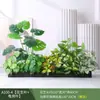 Paisagismo com Plantas Verdes Simulação Floreira Divisória de Piso Arte Floral de Chão Paisagem de Plantas Combinação de Floreira Flor Artificial em Vaso Bonsai Decoração