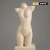 Corpo Humano Bumbum Sutiã Modelo Janela de Exibição Falso Crianças Suporte de Exibição Modelo Mannequin Bebê Calças de Bebê Adereços Feminino