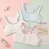 Ropa interior para el desarrollo en stock para niñas, algodón puro, sujetador sin aros, estilo camiseta, para estudiantes de secundaria y preparatoria, sujetador deportivo, transfronterizo
