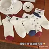 Meias Femininas para Primavera e Verão, Meias Curtas de Malha Absorventes de Suor e Respiráveis, Meias de Algodão Bordadas com Cachorro de Desenho Animado Tendência para Mulheres