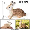Crianças Simulação Veado-de-cauda-branca Animal Alce Veado Sika Modelo Ornamentos Sólidos Conjunto Brinquedos de Natal