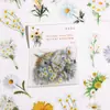 Pegatinas frescas y sencillas de plantas y flores para agendas de estudiantes de secundaria, pegatinas infantiles de mariposas impermeables, materiales decorativos para agendas, premios