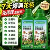 Solución Nutritiva para el Hogar Orgánica de Molécula Pequeña Vegetal Concentrado Universal para Cultivo en Suelo, Plantas en Maceta, Hiedra Verde, Árbol del Dinero, Cultivo de Flores de Hoja Verde