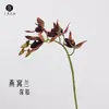 Venta directa de fábrica nido de pájaro EVA orquídea, orquídea urraca, campanilla, flores artificiales otoñales Maillard, orquídeas pequeñas, accesorios para arreglos florales