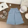 Conjunto de Ropa Infantil Estilo Coreano para Niños, Conjunto de Dos Piezas Camisa de Cuello con Cuadros Azules y Pantalones Anchos, Estilo Primavera y Otoño, Elegante y a la Moda para Bebés