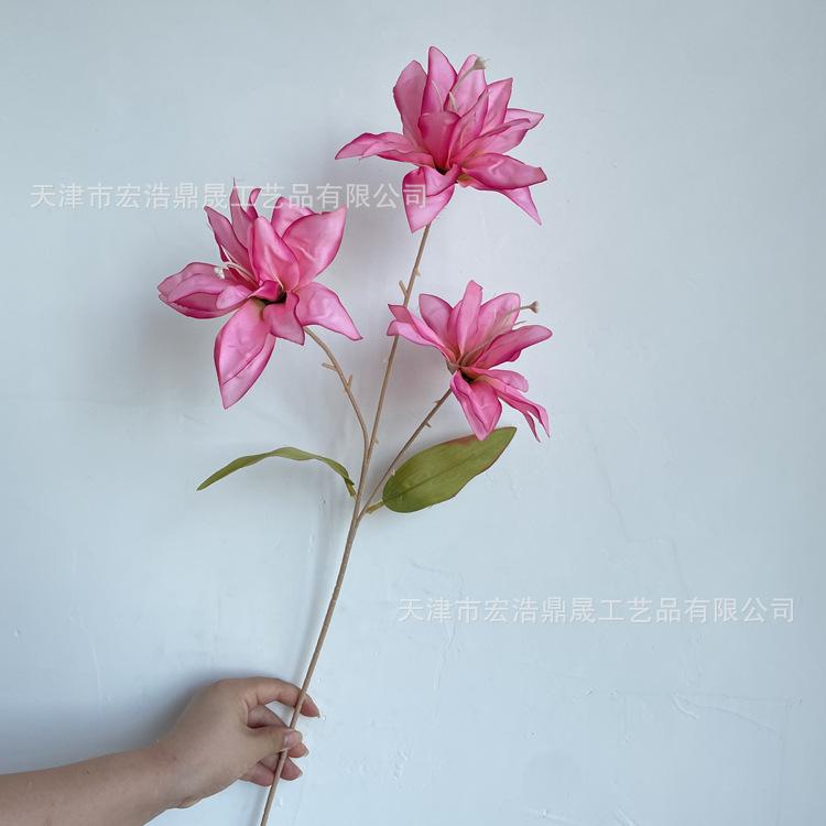 微信图片_202208111655473_副本