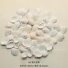 100g Caracola Natural de Agujero Único Caracol Perforado Mixto Borde Dorado Accesorios Decorativos de Acuario Hechos a Mano con Caracoles Blancos