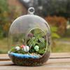 Musgo micro paisagem vaso de vidro criativo mini planta DIY enfeites de escritório em vasos vaso vaso de plantas suculentas