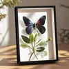 Marco de Fotos 3D Hueco Transfronterizo Premium 2026 Marco para Fotos de Flores Secas DIY Marco de Mesa de 6 Pulgadas con Textura de Madera Maciza con un Toque de Alta Gama