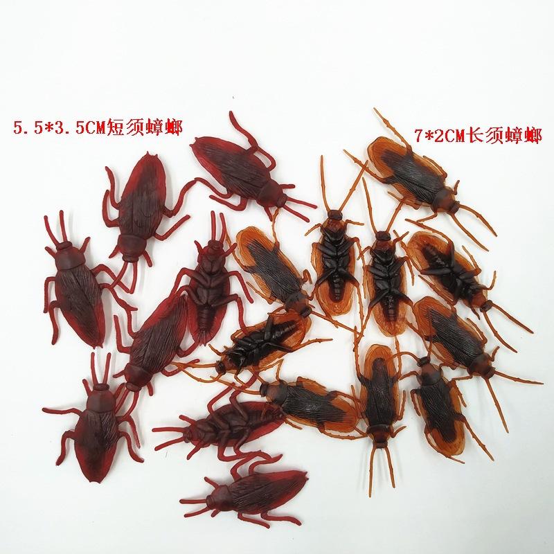 蟑螂