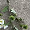 Flores de Arco de Comércio Exterior Combinando Branco e Verde Mori Casamento Coreano Flores Combinando Parede de Fundo de Estúdio Produtos Acabados