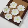Novas pétalas artificiais de flor de cerejeira, flor artificial única, acessórios para arranjos florais, decoração de casamento, cabeça de flor para artesanato DIY