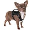 Roupas para Pets Pequenos Colete Tático Peitoral Ajustável Colete para Gatos Roupas Repelentes à Água Roupas para Gatos