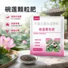 Solo especial para nenúfar, solo para plantas aquáticas, solo para lago, hidroponia de nenúfar, planta do dinheiro chinesa, partículas cerâmicas, partículas de areia, não precisa lavar, liberação lenta, piscicultura